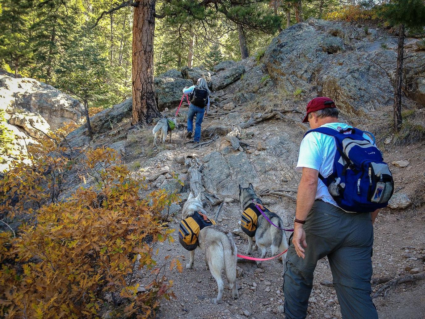 Dog-friendly hiking with Santa Fe Mountain Adventures. Take a dog-friendly hike with Santa Fe Mountain Adventures.