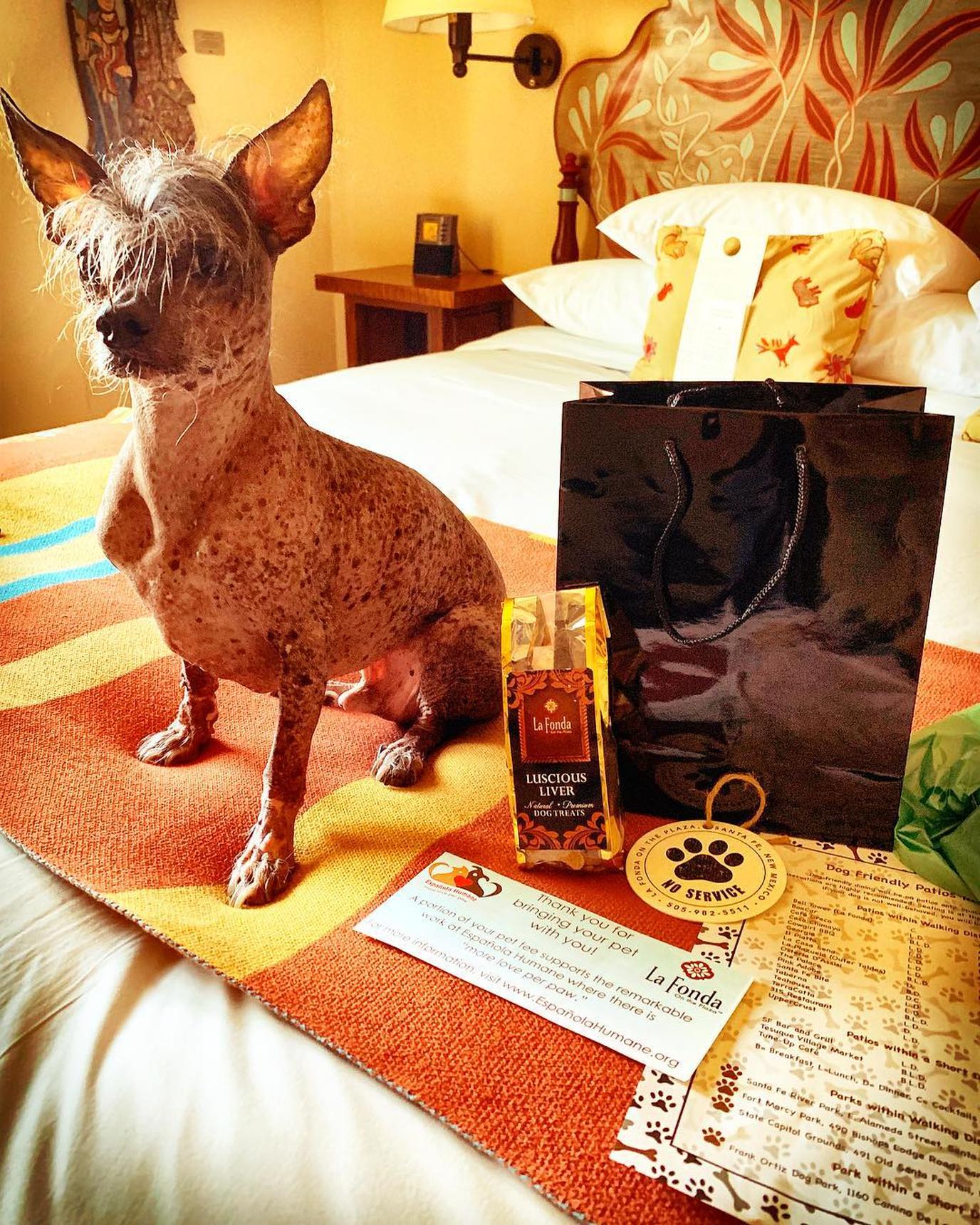 La Fonda on the Plaza, a dog-friendly hotel La Fonda on the Plaza is a dog-friendly hotel on Historic Santa Fe Plaza.