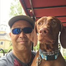 Gammon Coach House restaurant view 2