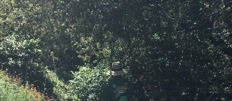 Dog Friendly Mountain Center, CA