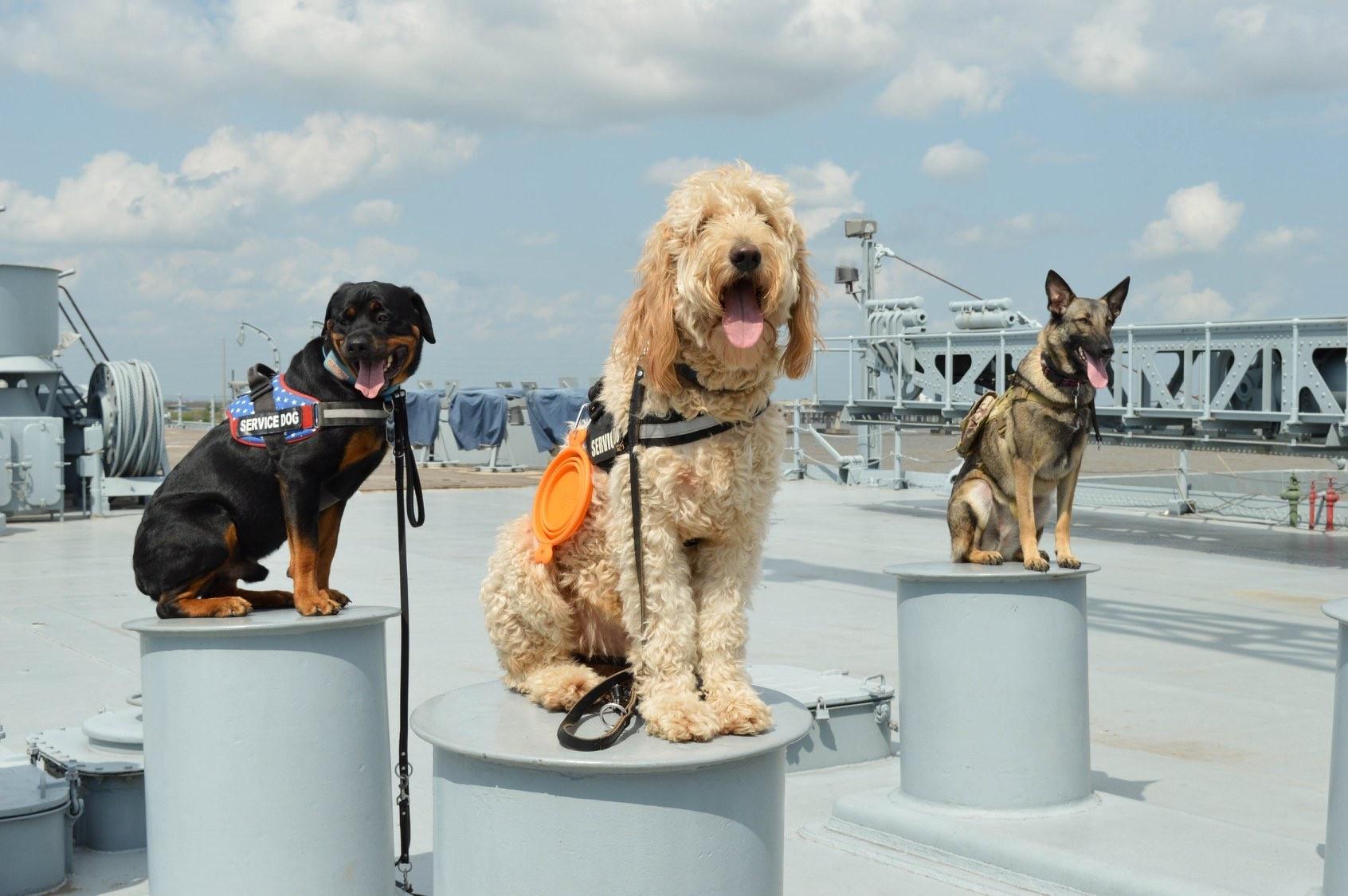 Pet Friendly USS Alabama Battleship Memorial Park
