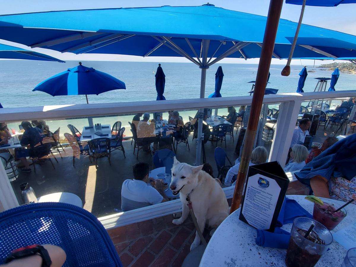 The Cliff restaurant view 6