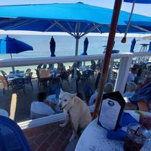 The Cliff restaurant view 6