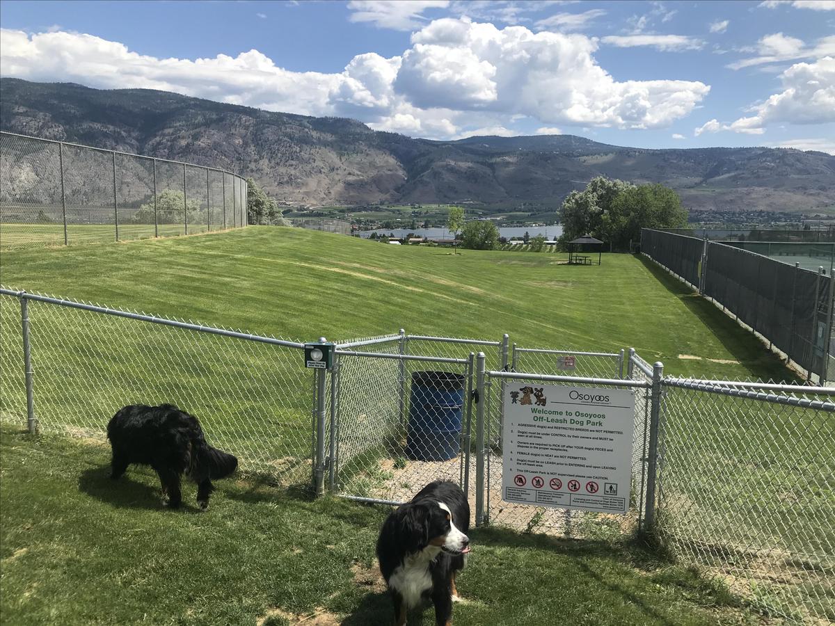 Osoyoos Dog Park
