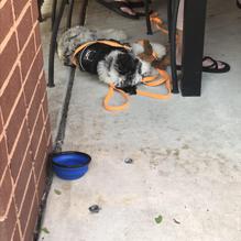 Founders Tavern and Grille restaurant view 2