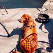 Best Italian restaurant view 3