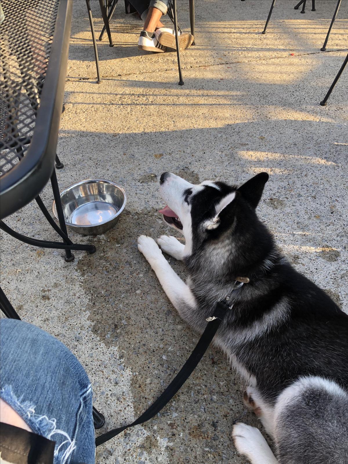 Obed & Isaac’s Microbrewery and Eatery restaurant view 7