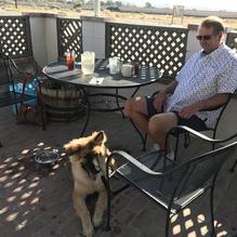 Wayside Cafe restaurant view 1