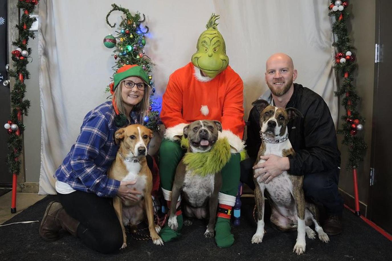 A dog-friendly Christmas in July with the Grinch. Celebrate a dog-friendly Christmas in July in Ohio.