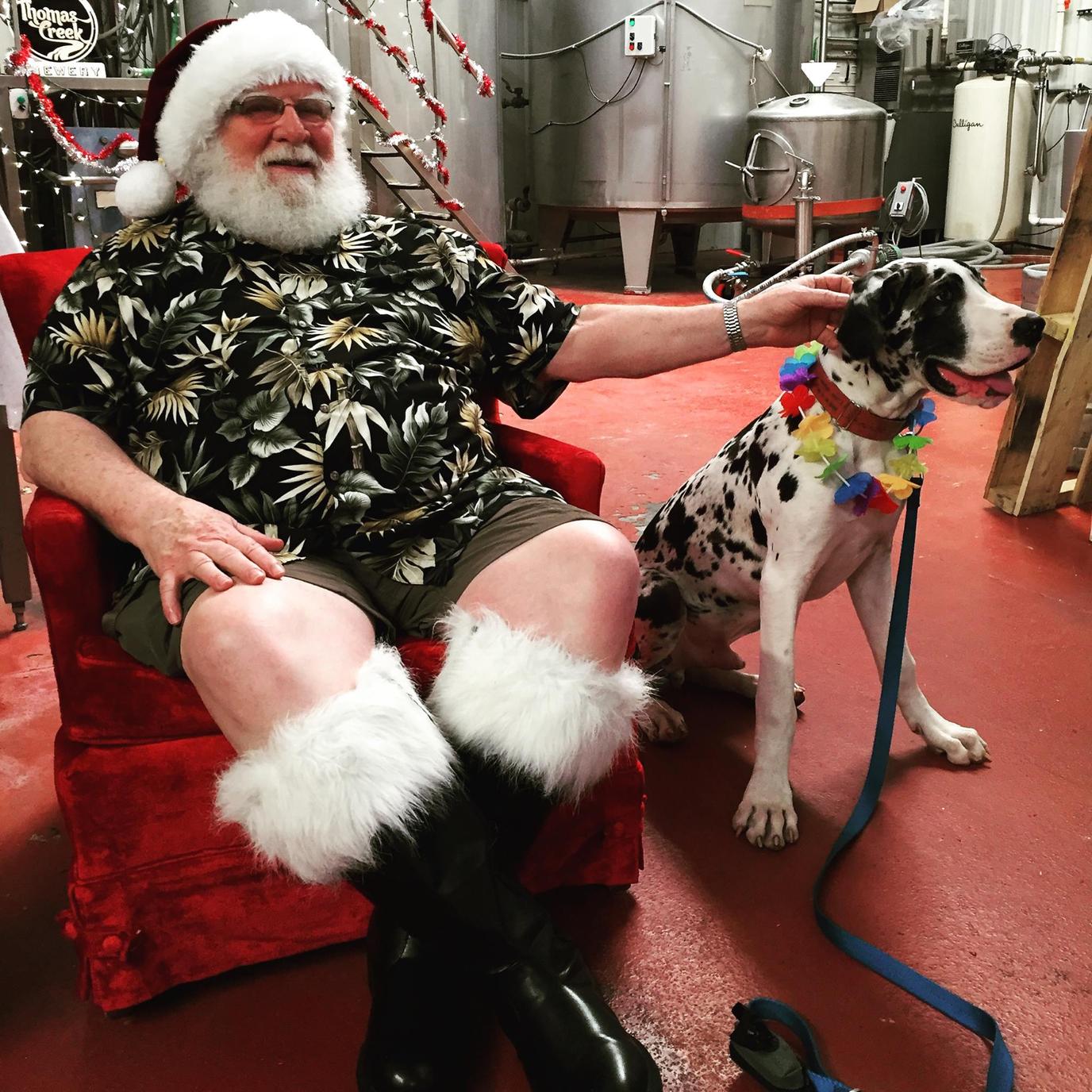 Santa Claus and Fido in July Christmas in July with dogs