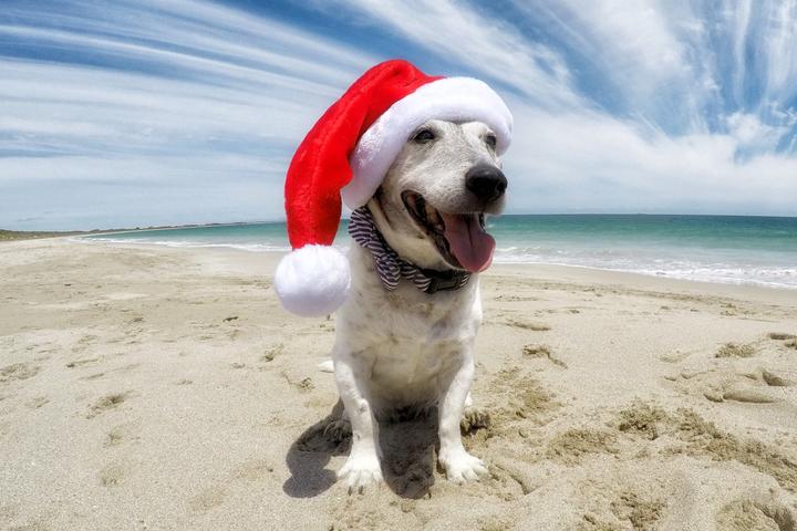 Where to celebrate Christmas in July