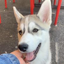 Cafe Fina restaurant view 4