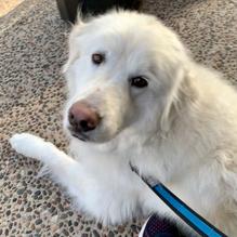 Open Flame Steak & Lounge restaurant view 1