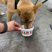 Joe's Italian Ice restaurant view 1