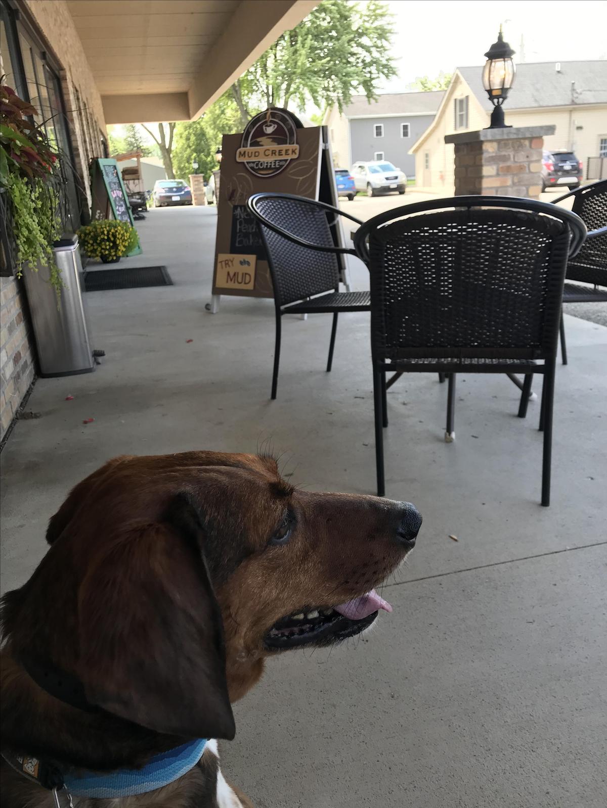 Mud Creek Coffee restaurant view 1