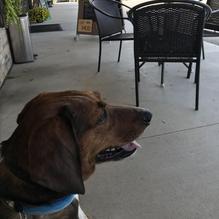 Mud Creek Coffee restaurant view 1