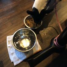 Tun Tavern Restaurant & Brewery restaurant view 12