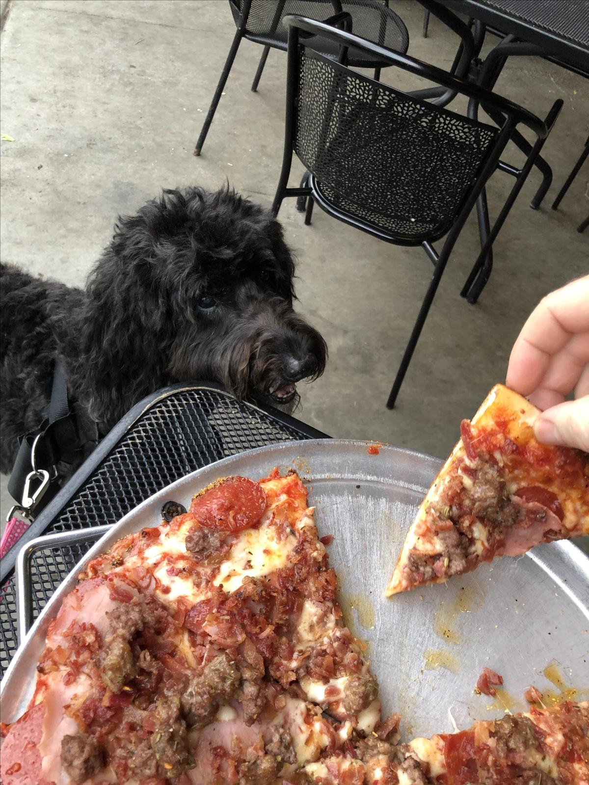 Shakespeare's Pizza Downtown restaurant view 1