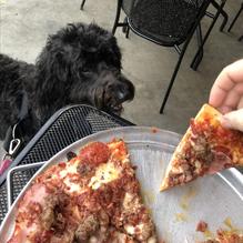 Shakespeare's Pizza Downtown restaurant view 1