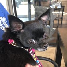 Founders Tavern and Grille restaurant view 1