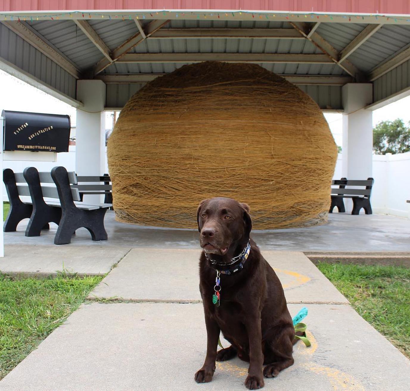 World's Largest Ball of Twine roadside attraction Dog-friendly road trip to World's Largest Ball of Twine
