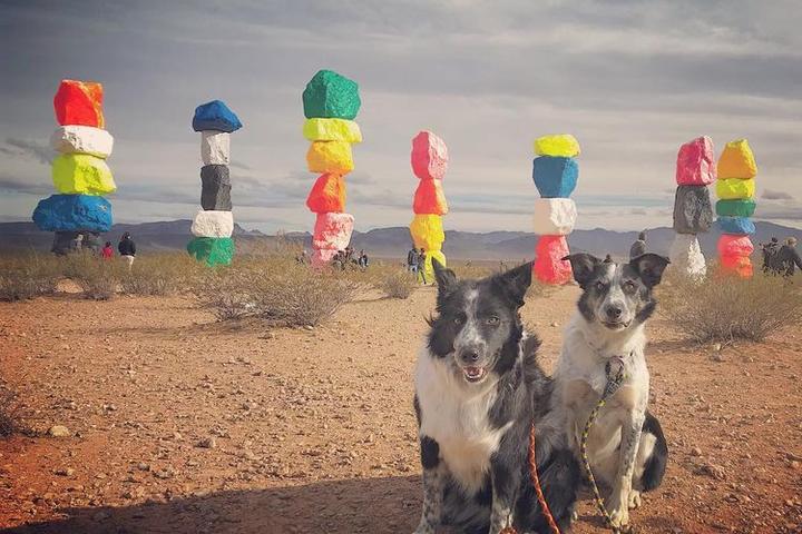 10 Instagram-Worthy Roadside Attractions to Visit With Your Dog