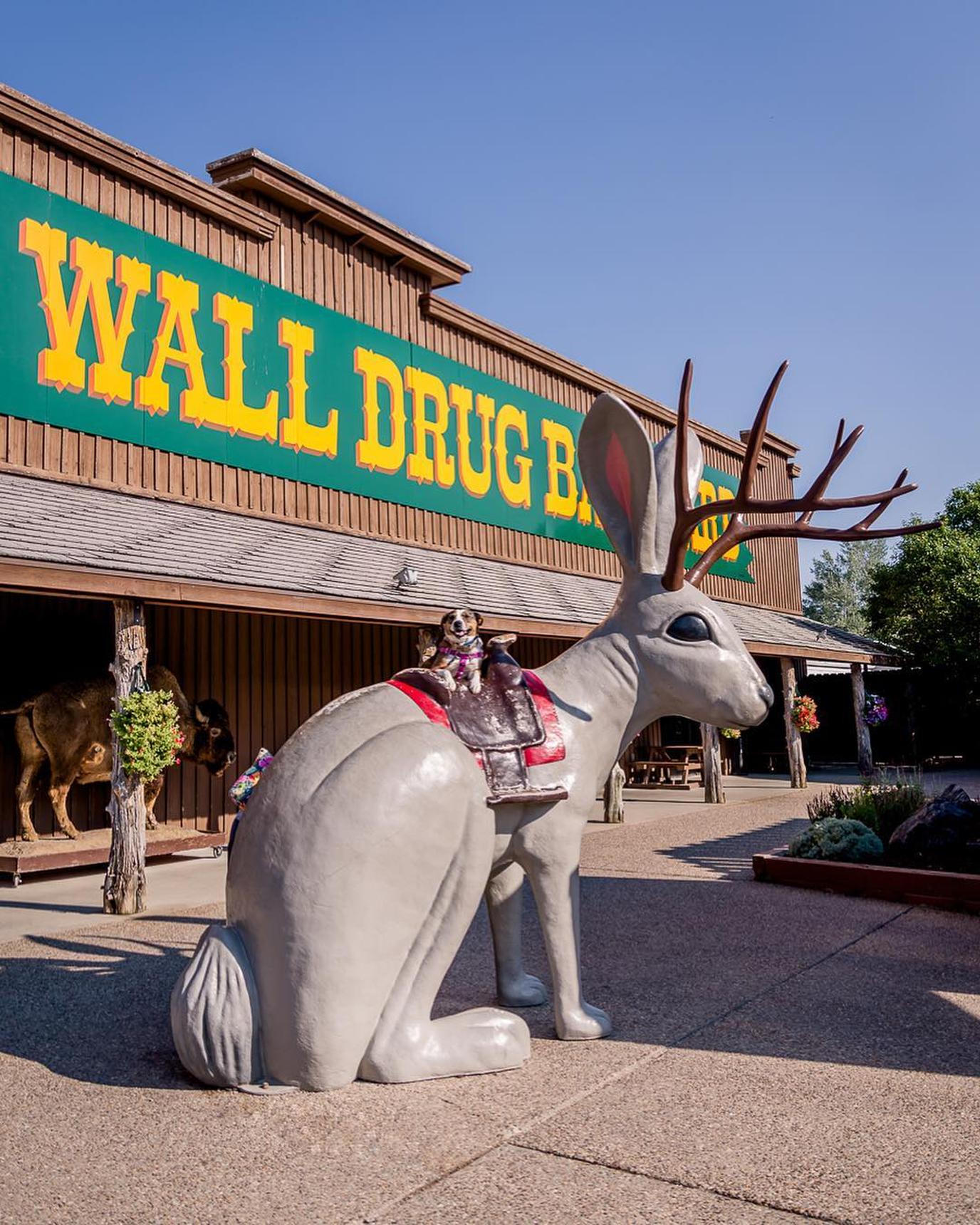 The Wall Drug jackelope in South Dakota Dog-friendly roadside attraction, Wall Drug