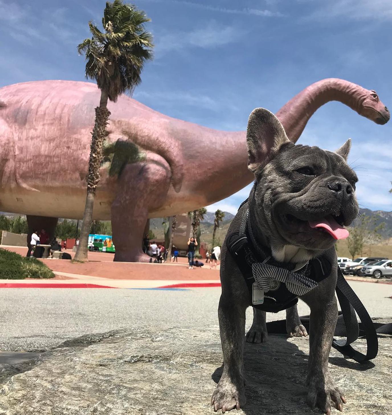 Take a photo with the Cabazon Dinosaurs for Instagram Cabazon Dinosaurs roadside attraction
