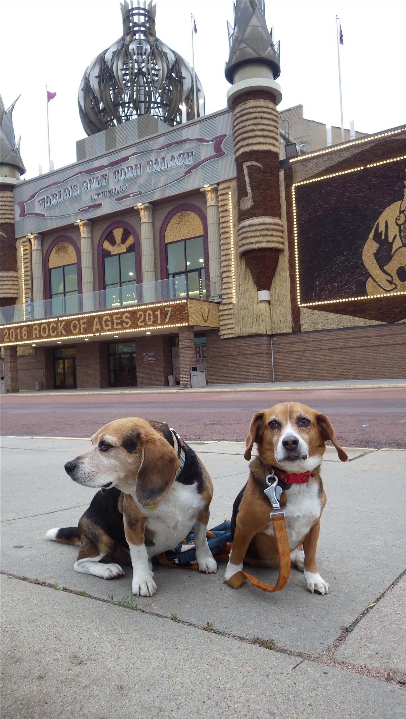 Visit the World's Only Corn Palace with your dog World's Only Corn Palace roadside attraction