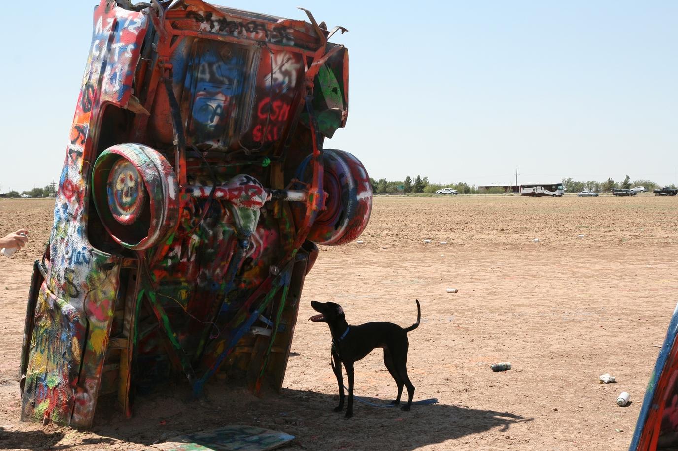 Cadillac ranch roadside attraction Cadillac Ranch is dog friendly