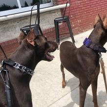 Hub City Brewing restaurant view 1