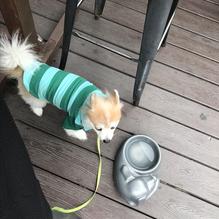 Hopscotch Craft Beer and Whiskey restaurant view 1