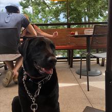 Postino - LoHi restaurant view 1