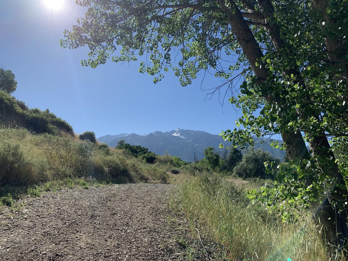 Wide Trail With View