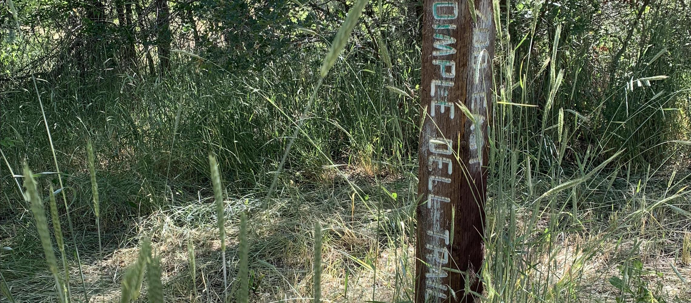 Dog Friendly Sandy, UT