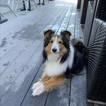 Chester Creek Cafe restaurant view 1