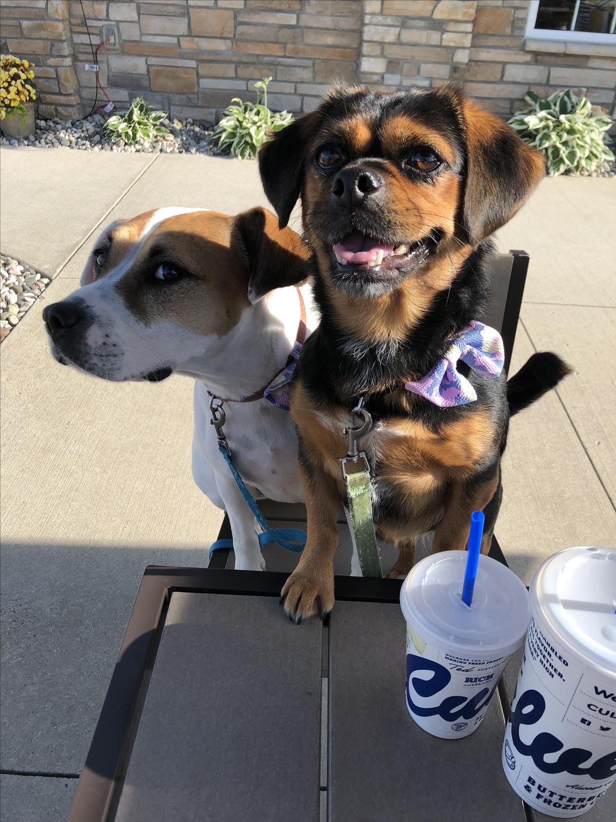 Culver's restaurant view 1