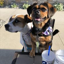 Culver's restaurant view 1