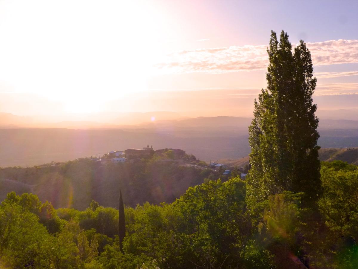 Dog Friendly Jerome, AZ BringFido