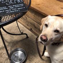 Santa Cruz Mtn Brewing restaurant view 1