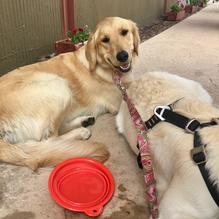 Kix on 66 restaurant view 2