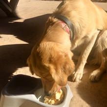 Kix on 66 restaurant view 3