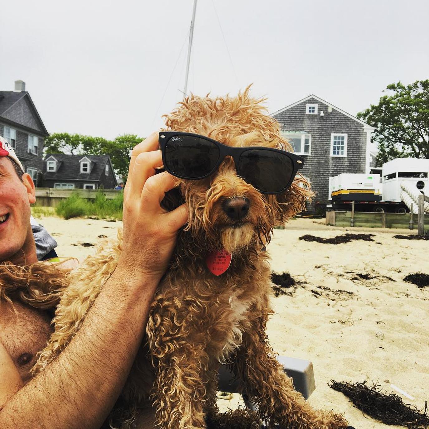Visit Nantucket beach with your dog Saturday in dog-friendly Nantucket