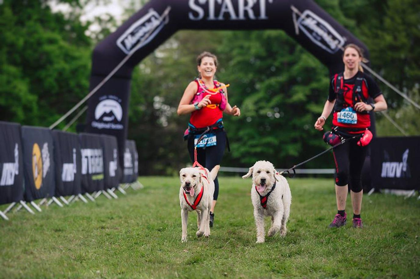 The Maverick dog-friendly races in the U.K. Dog-friendly races in the U.K.