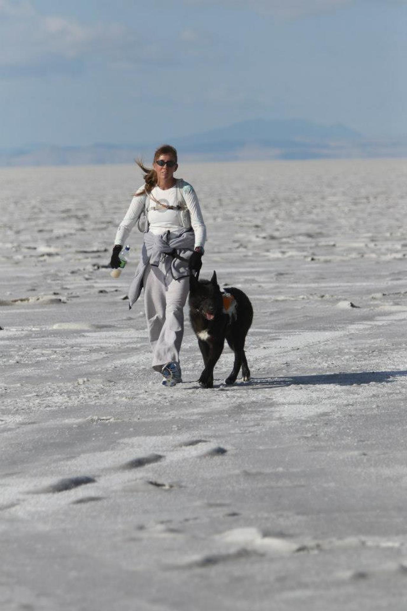 Salt Flats Endurance Runs Dog-friendly endurance run