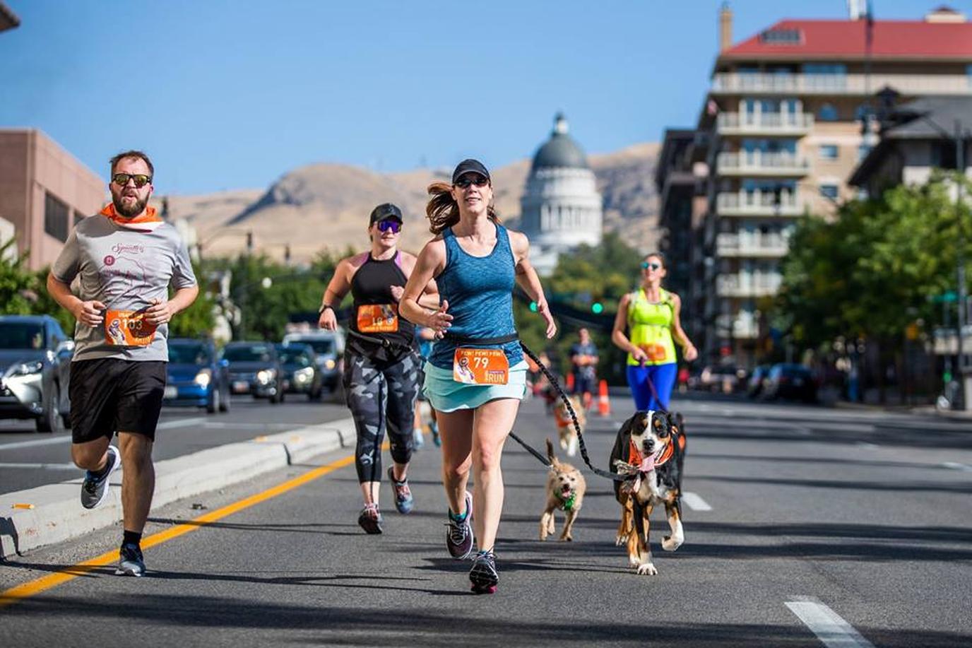 Enjoy a pet-friendly run in Salt Lake City. Chasing Tail Run is a popular pet-friendly race in Salt Lake City.