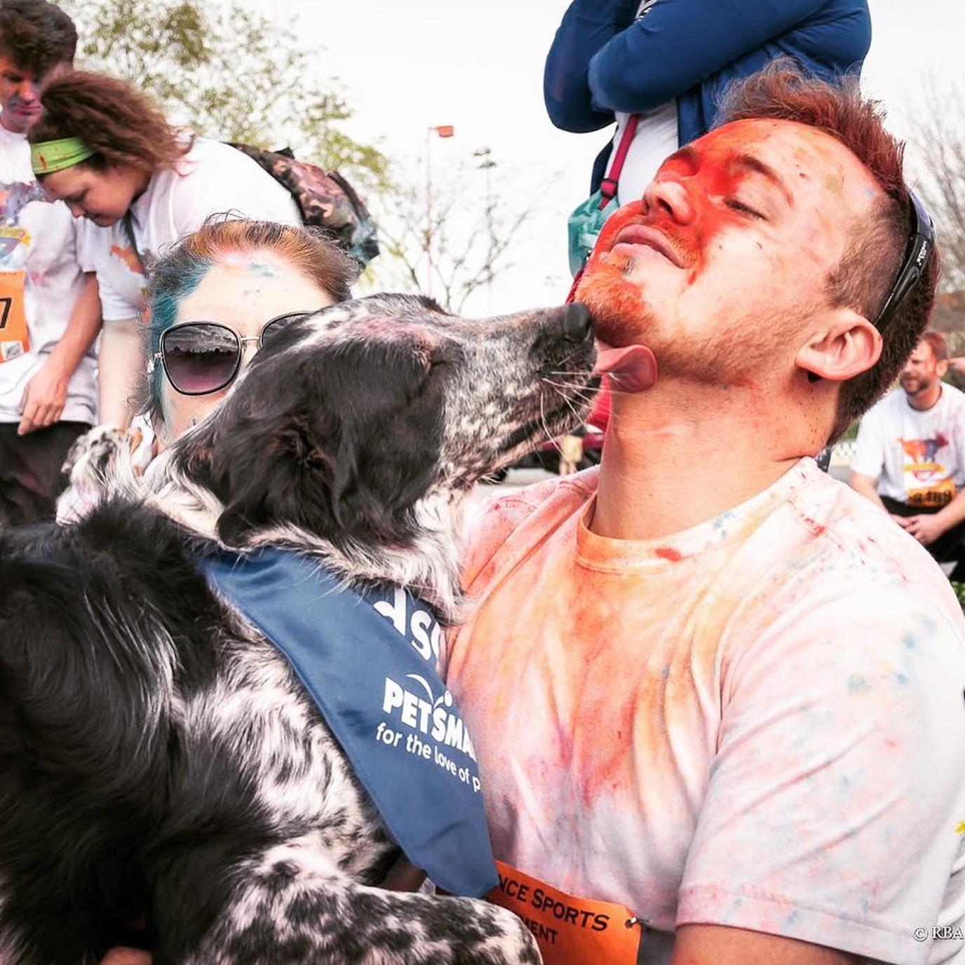 Dog-friendly 5k color run dog-friendly color run 5k