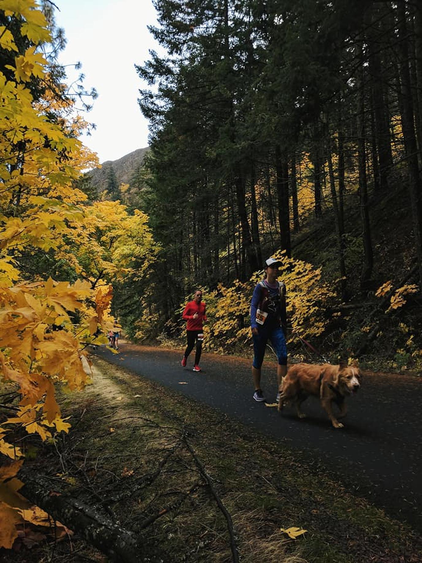 The Columbia Gorge Half Marathon Includes a Dog-Friendly Race. Run with your dog at the Columbia Gorge Half Marathon.