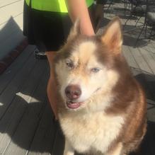 Tavern at Towne Lake restaurant view 7