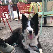 Red Pepper Taqueria Buckhead restaurant view 2